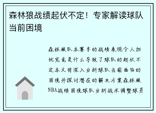 森林狼战绩起伏不定！专家解读球队当前困境